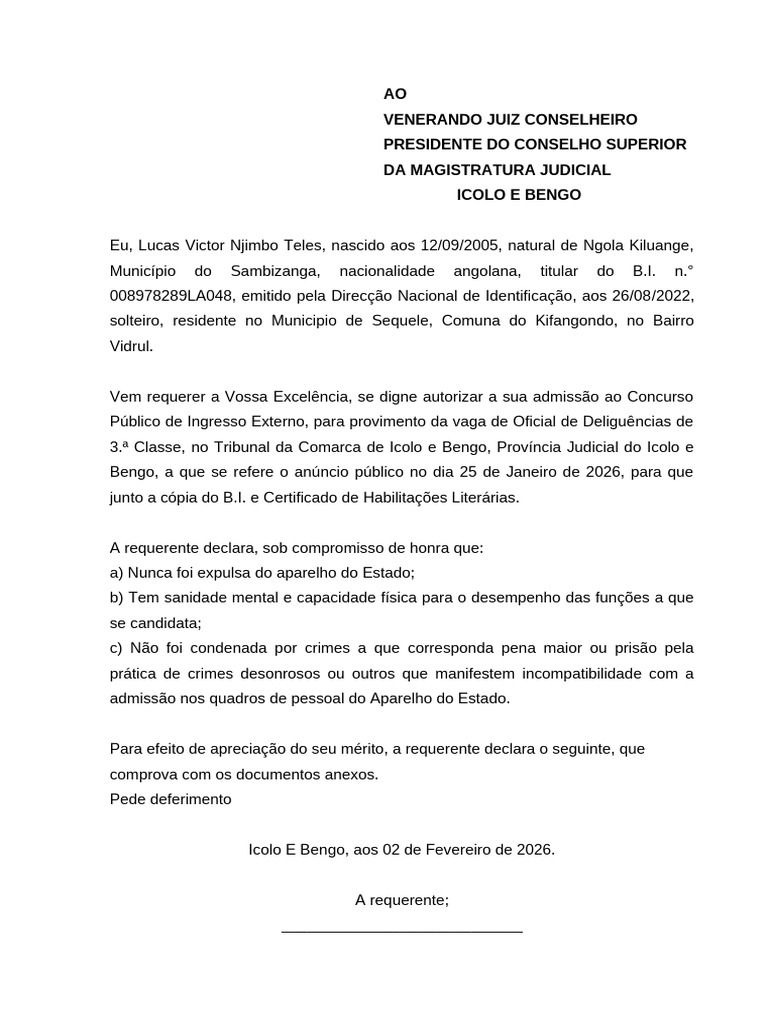 Requerimento Concurso Publico | PDF