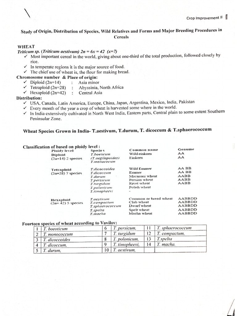 GPB Notes Mid Term Portion | PDF