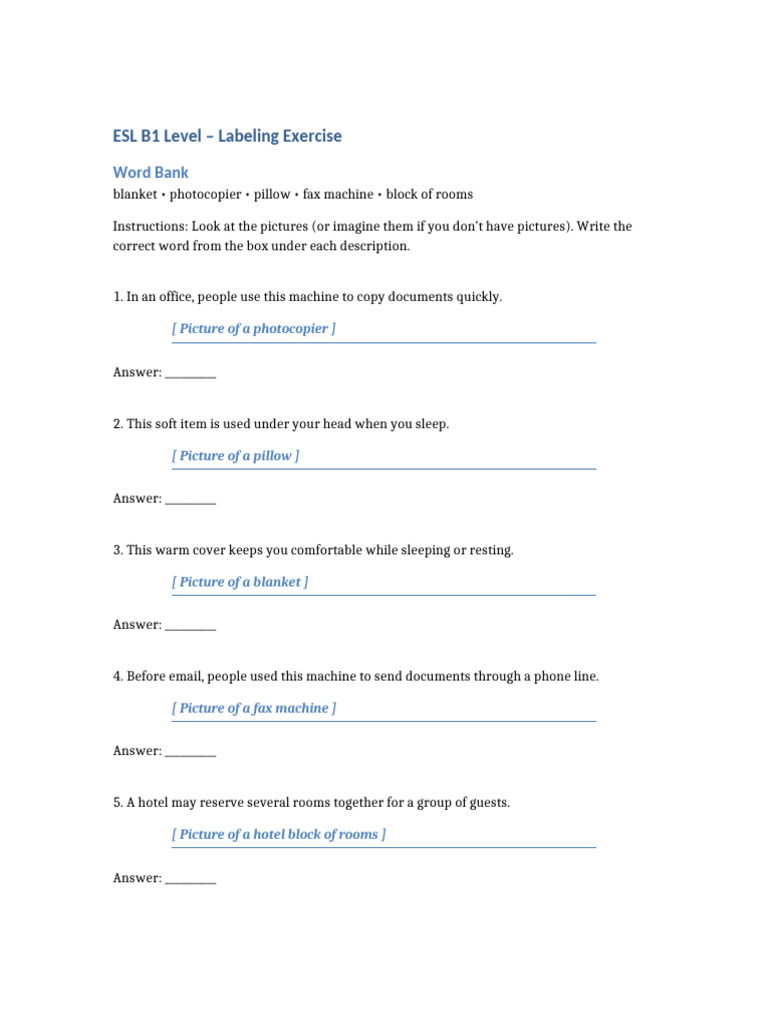 ESL B1 Labeling Exercise With Placeholders | PDF