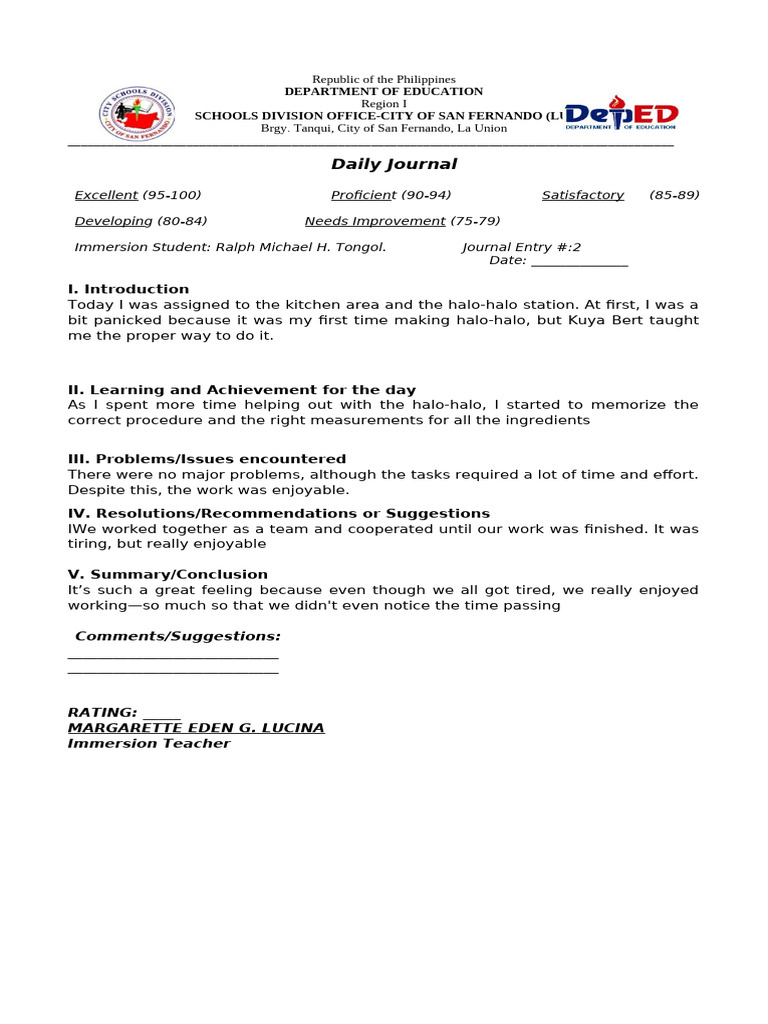 Daily Journal Format R1 | PDF