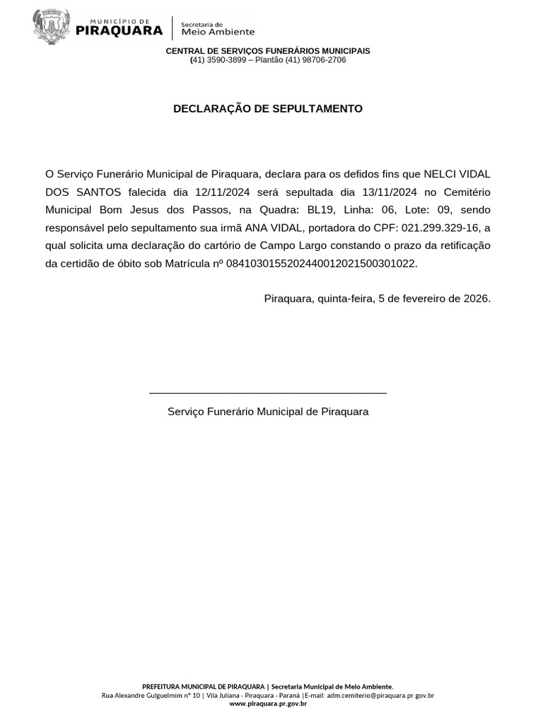 Declaração de Retificação | PDF