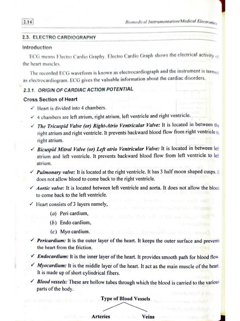 BMI - Unit 2 | PDF