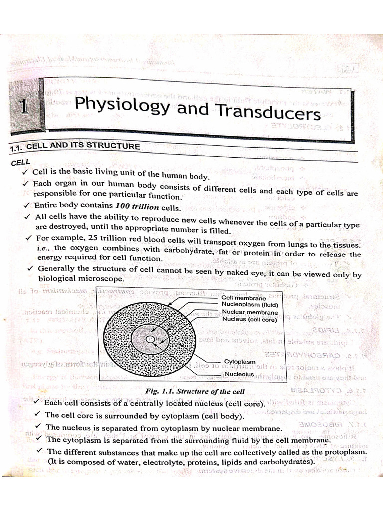 Bmi Unit 1 | PDF