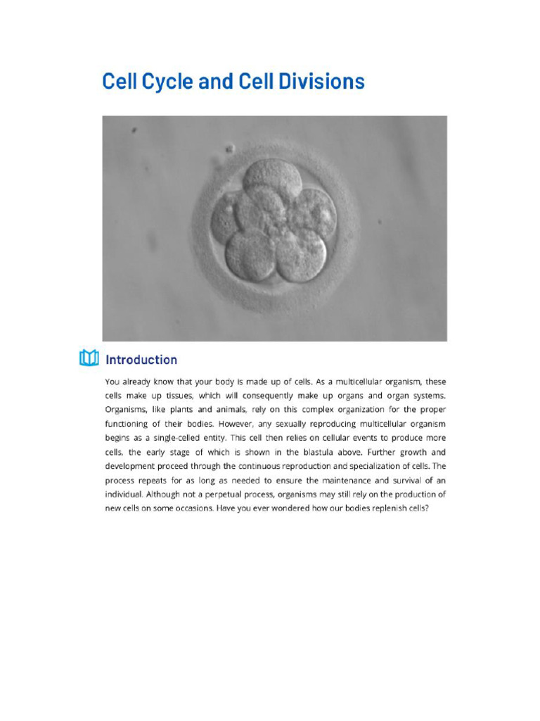 Cell Cycle and Cell Division | PDF