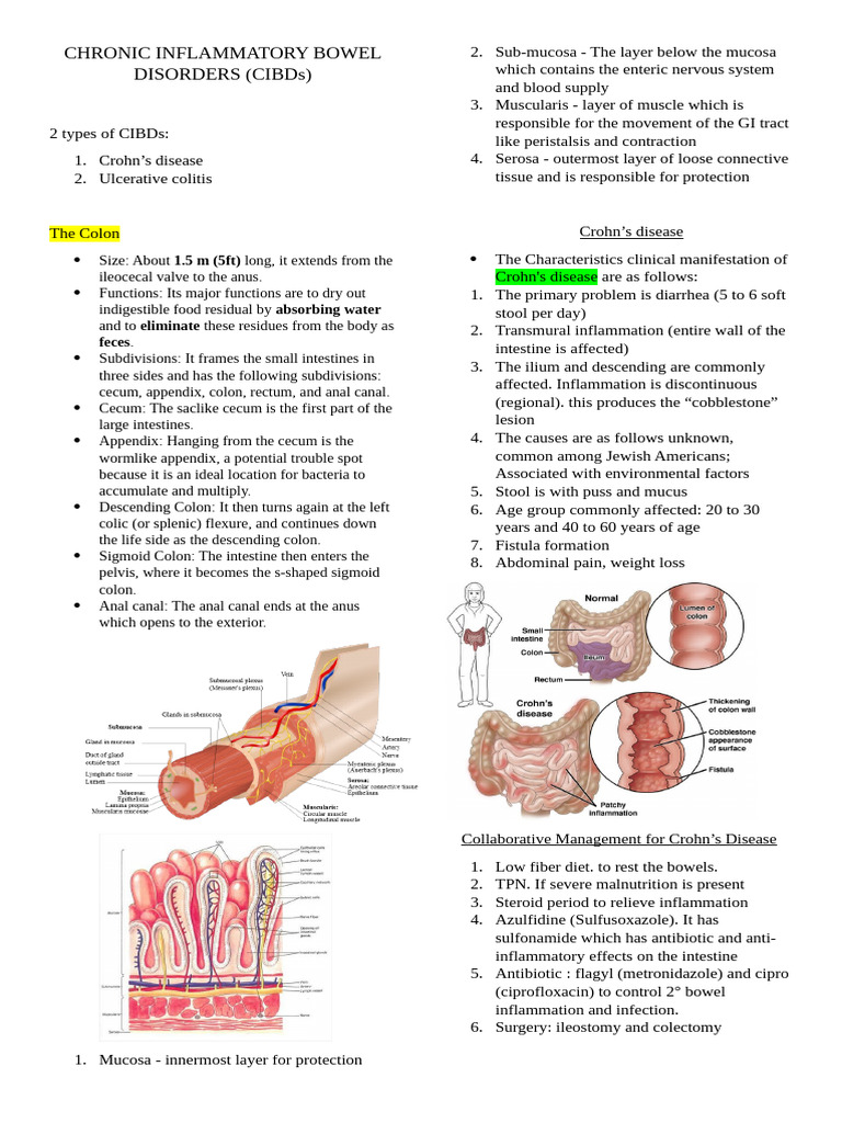 Chronic Inflammatory Bowel Disorders | PDF | Gastrointestinal Tract ...