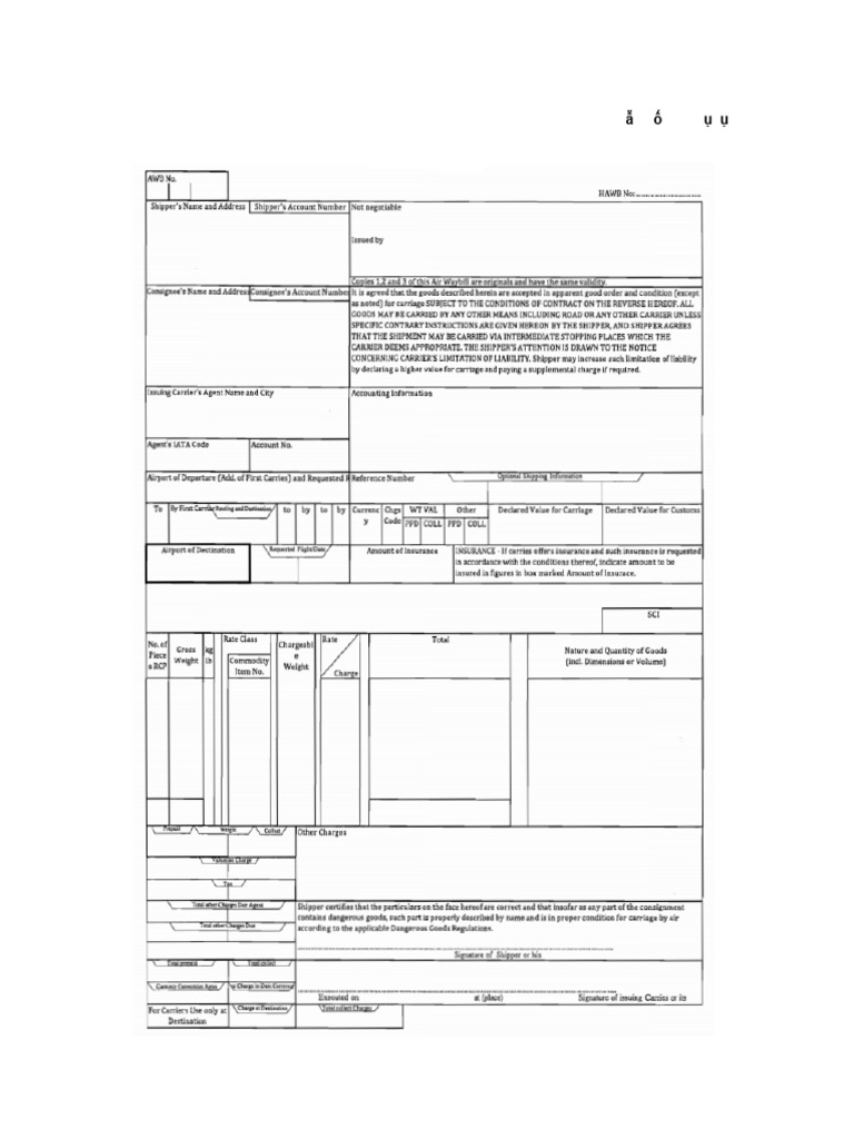 AWB GG | PDF