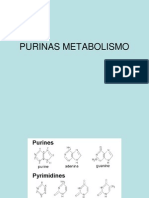 Metabolismo de Purinas 857553965