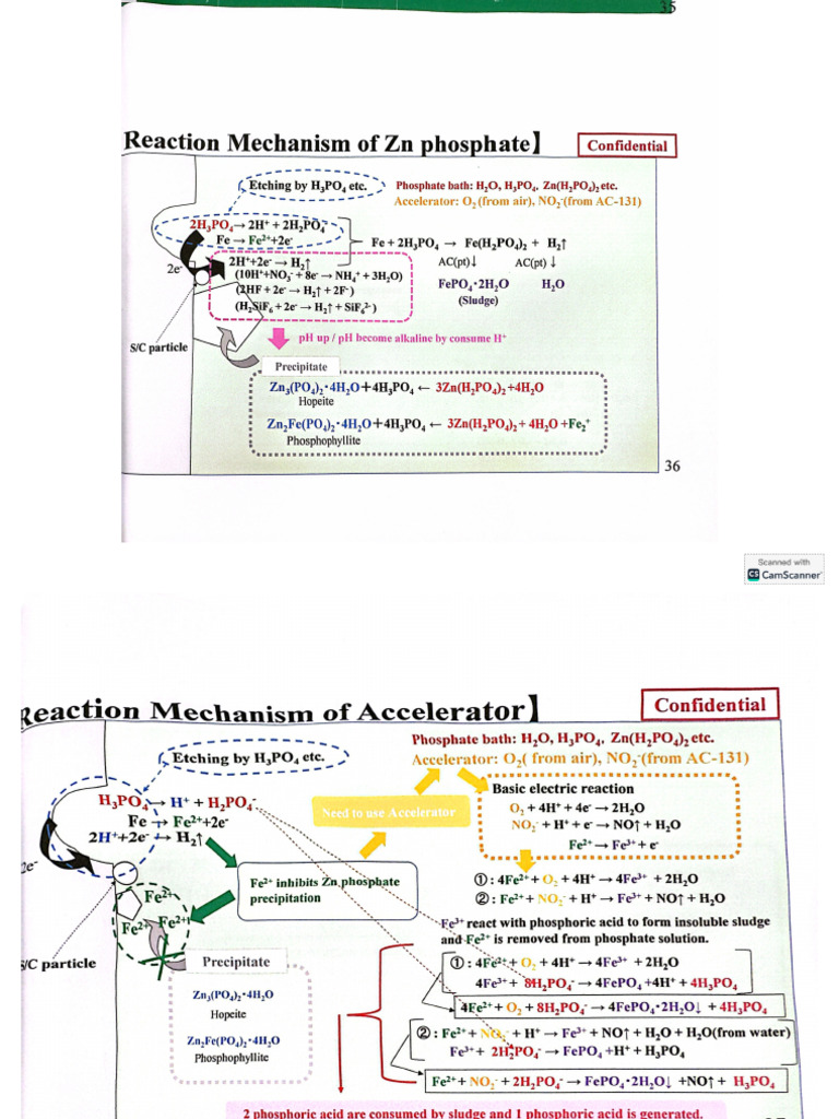 Reaction Mechanism | PDF