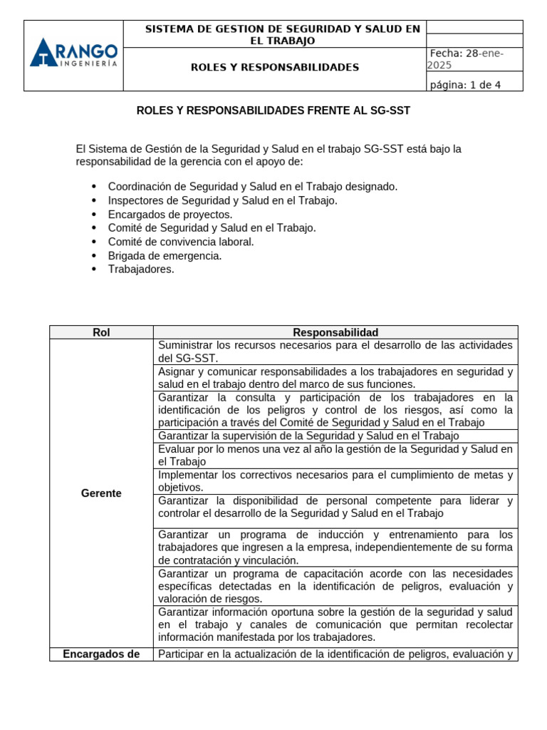Roles y Responsabilidades | PDF