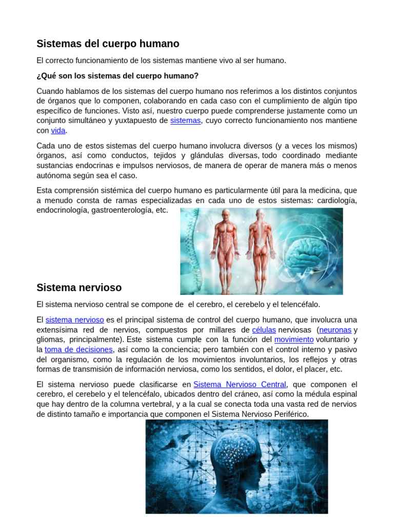 Sistemas Del Cuerpo Humano | PDF | Sistema reproductivo | Digestión