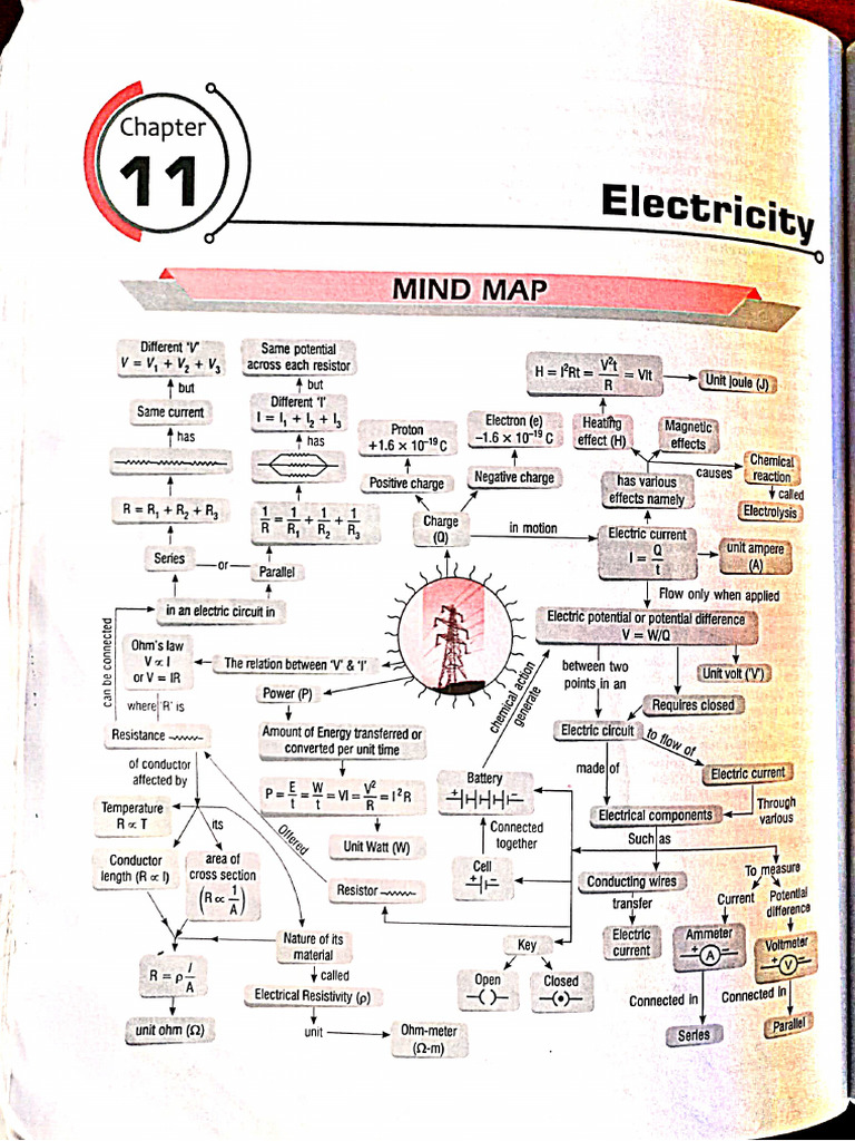Science most imp questions | PDF