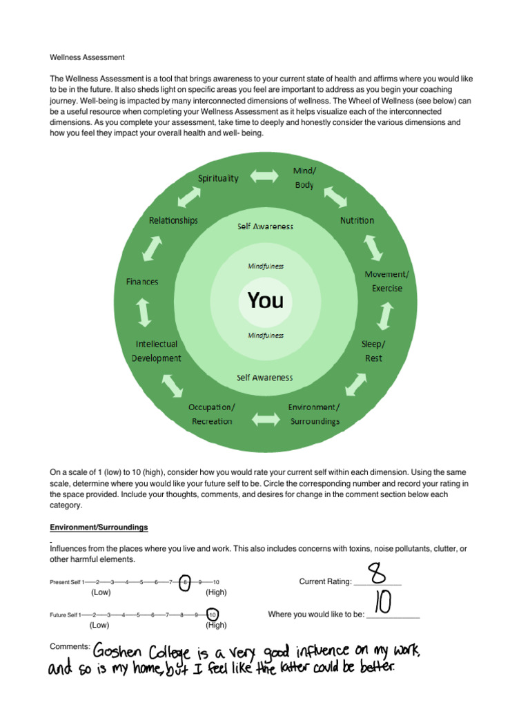 Wellness Status Reflection Tool 2021 | PDF