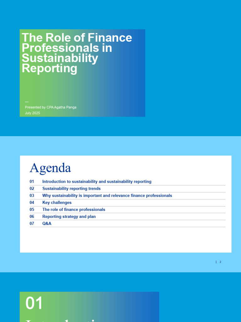 The Role of Finance Professionals in Sustainability Reporting | PDF ...