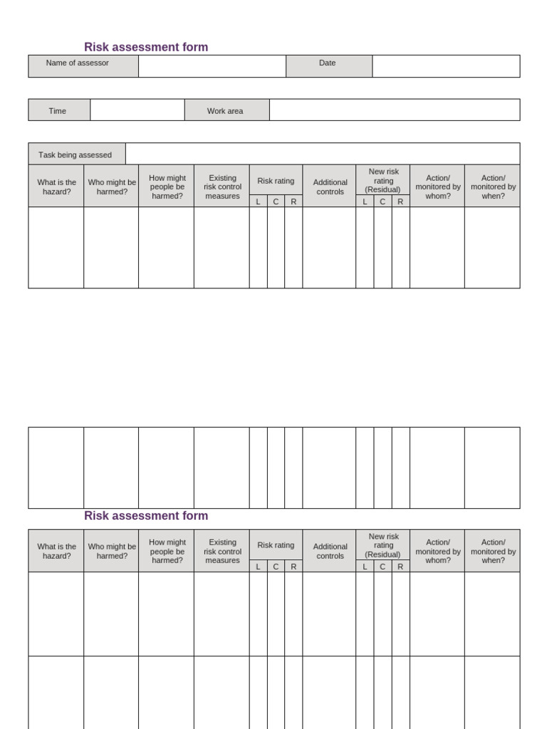 Forma Risk Assessment | PDF