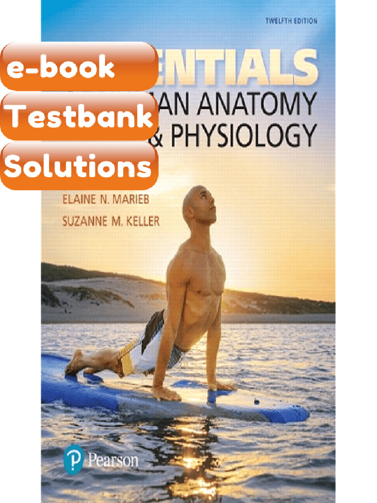Testbank Essentials of Human Anatomy and Physiology 12th Edition Marieb ...