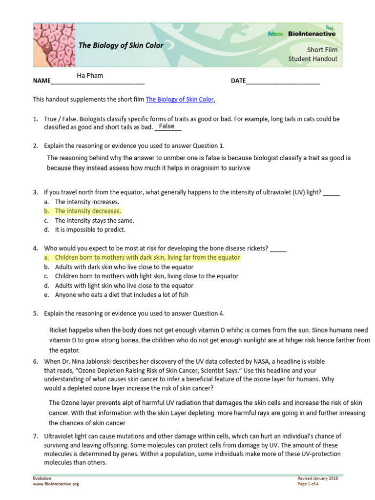 Kami Export - Ha Pham - Skin Color Worksheet Doc (3) | PDF | Melanoma ...