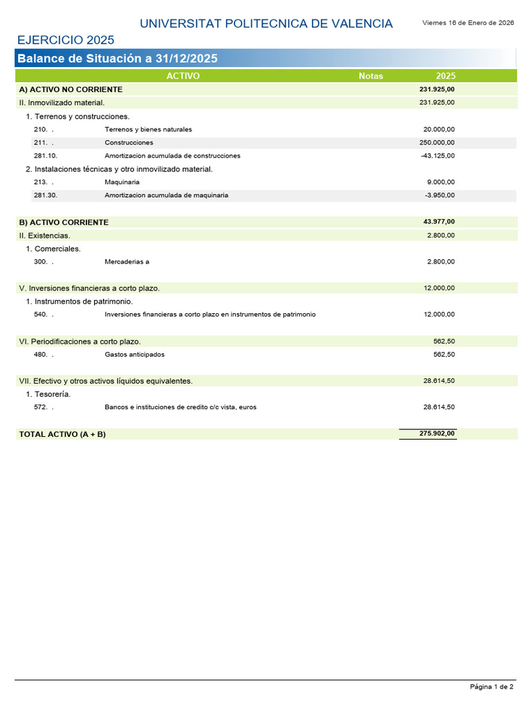 Balance de Situación | PDF | Hoja de balance | Valor neto