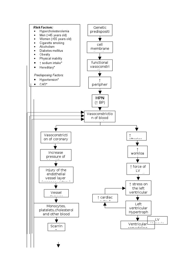 Pathophysiology Diagram of Congestive Heart Failure | PDF