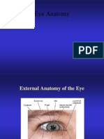 Eye Anatomy