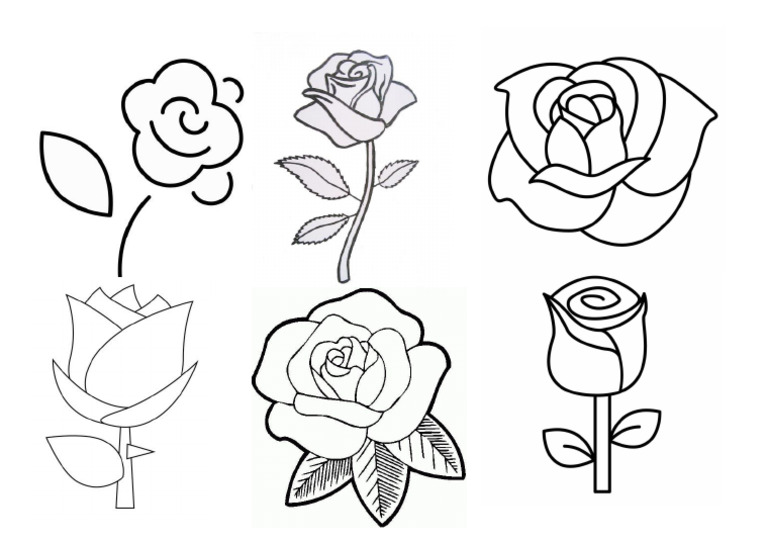 Rose | PDF