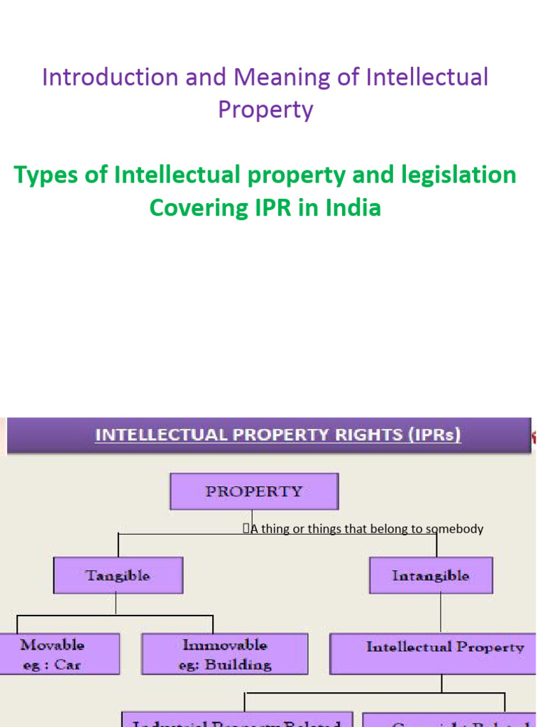Intellectual Property Rights | PDF | Intellectual Property | Trade Secret