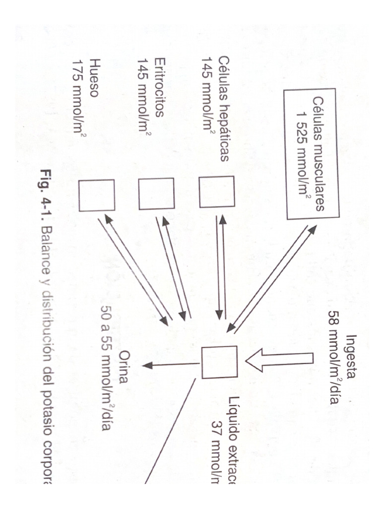 Ingest A | PDF