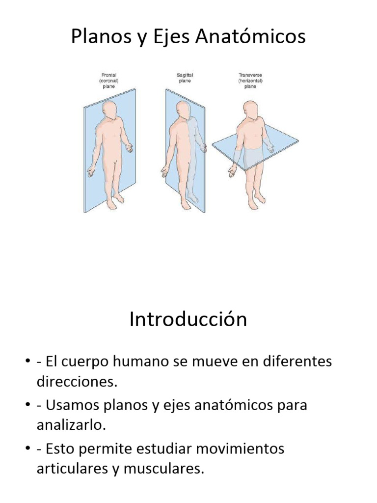 bajar aplicaci n youtube gratis para celular