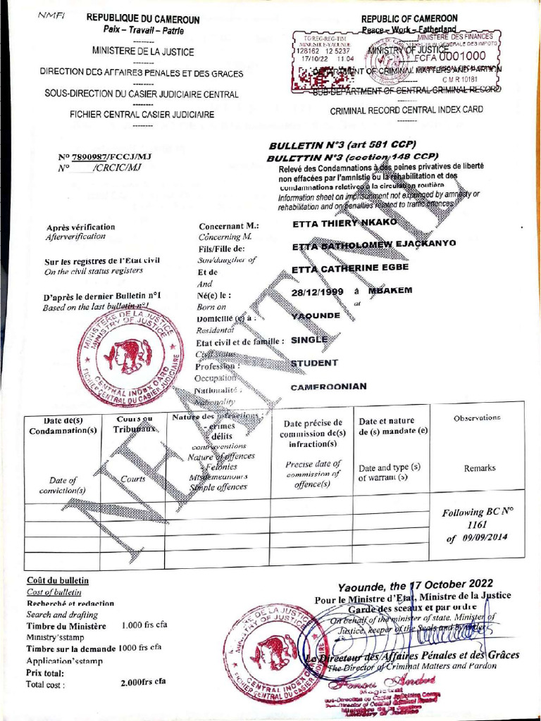 Criminal Record | PDF