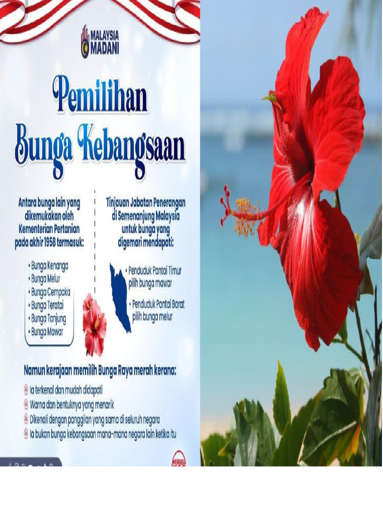 Bunga Raya | PDF
