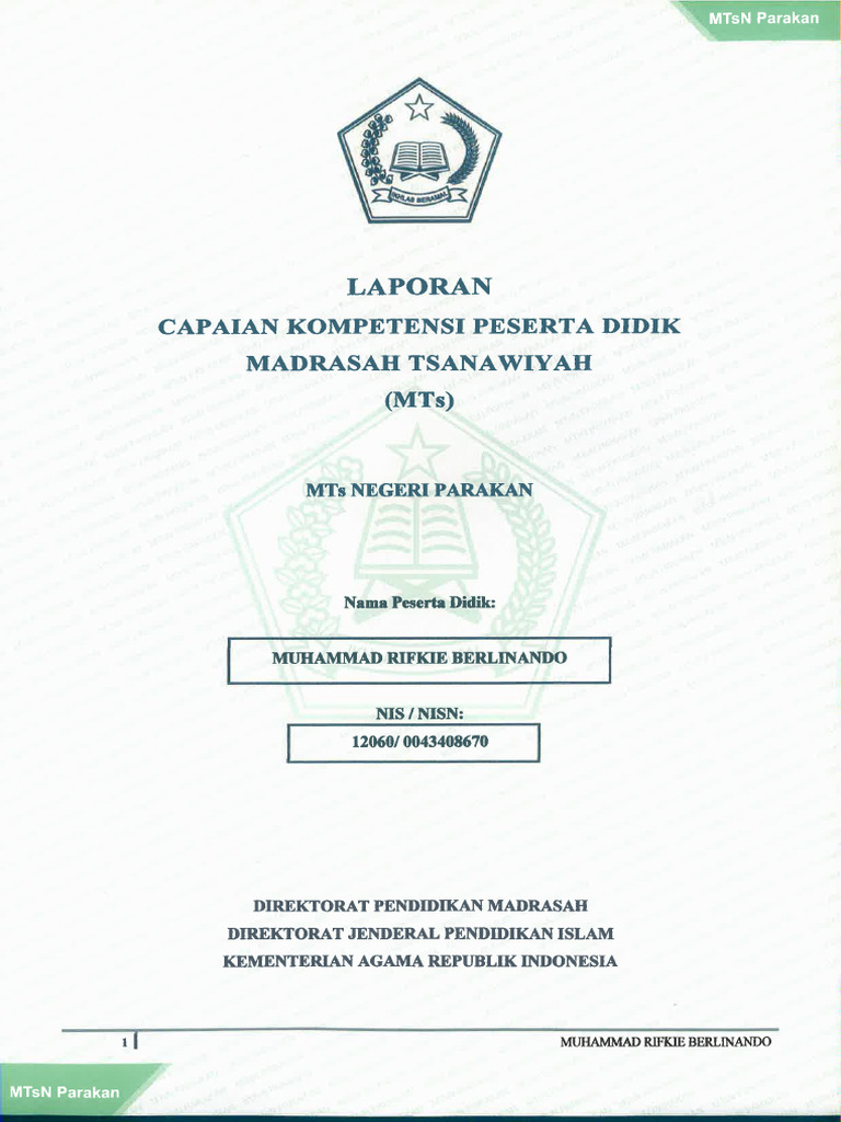 Raport Mts | PDF