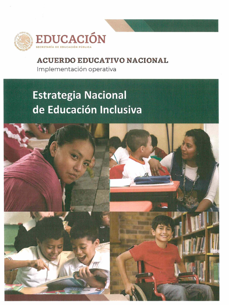 41.Estra Educ Inclusiva | PDF | Inclusión (Educación) | Plan de estudios