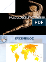 Musculoskeletal System Introduction