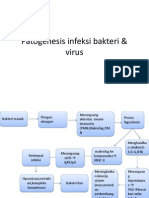 Patogenesis Infeksi Bakteri & Virus Cici Ready
