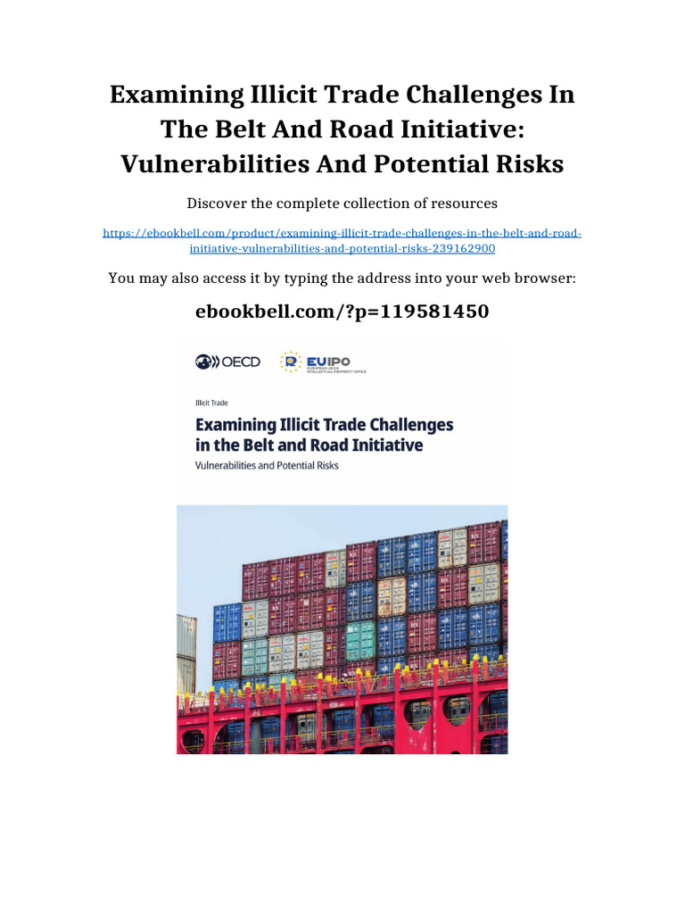 Examining Illicit Trade Challenges in The Belt and Road Initiative ...