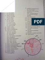 histologija2_t2_praktikum