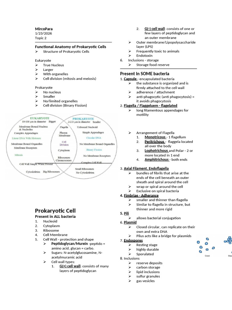Function Anatomy of Prokaryotes | PDF | Cell (Biology) | Bacteria