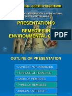 09 - Remedies in Environmental Cases