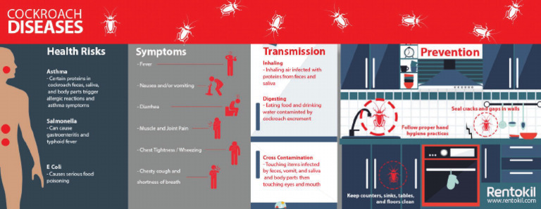 Rentokil Infographic Cockroach Diseases | PDF
