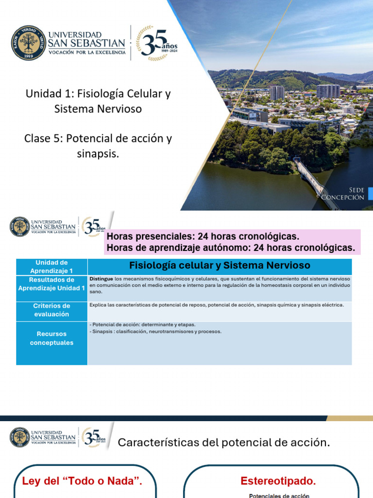 Clase 5 - Potencial de Acción y Sinapsis-Extra | PDF | Sinapsis ...