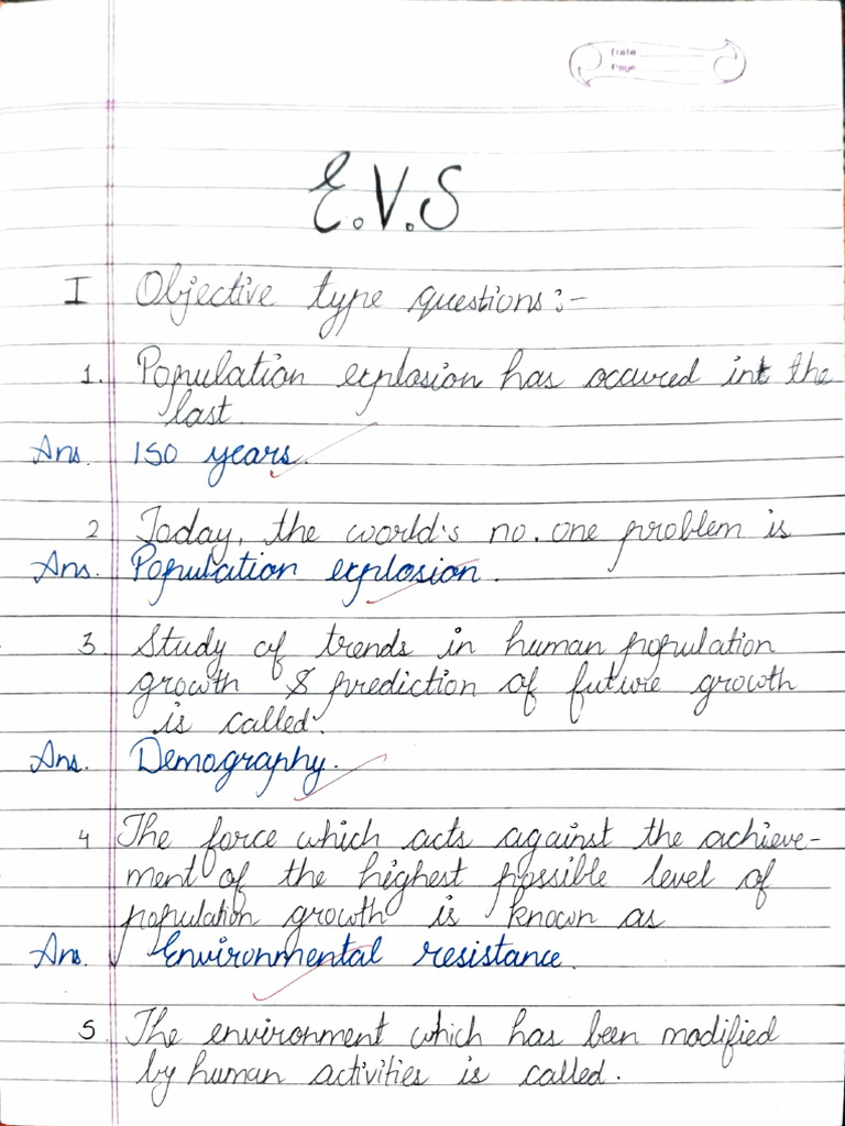 11th EVS | PDF