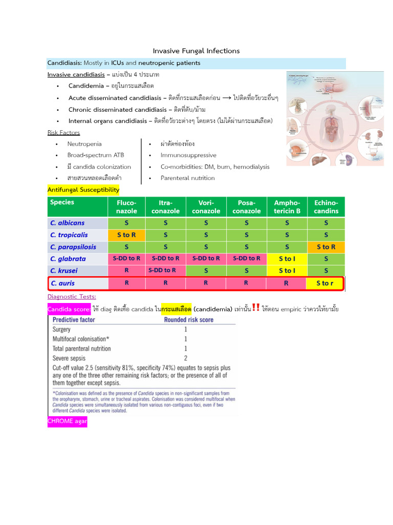 Invasive Fungal Infections | PDF