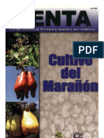 CENTA. Guía Técnica Del Cultivo de Marañon
