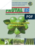 IICA. Guía Técnica Del Cultivo de Limón Pérsico