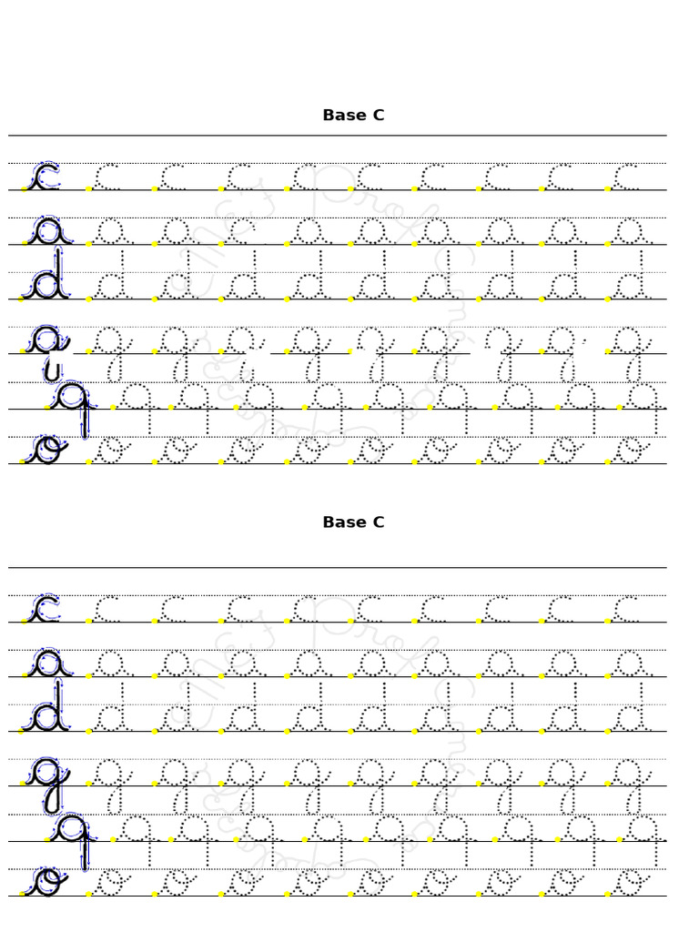 Base C | PDF