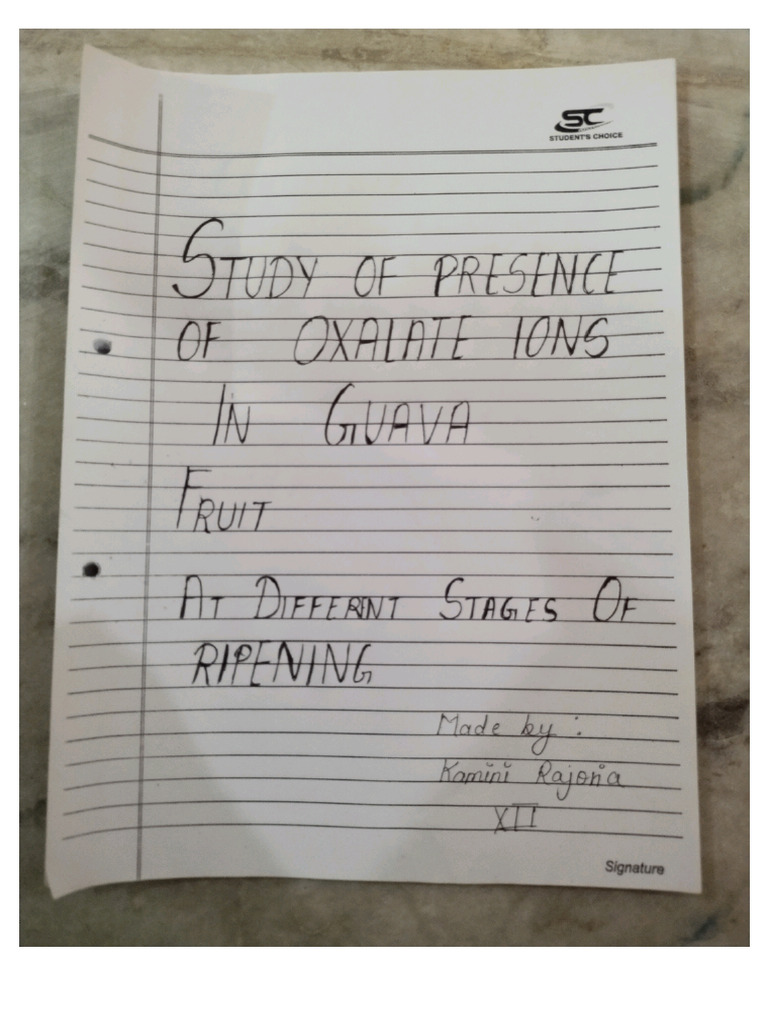 Guava Project | PDF
