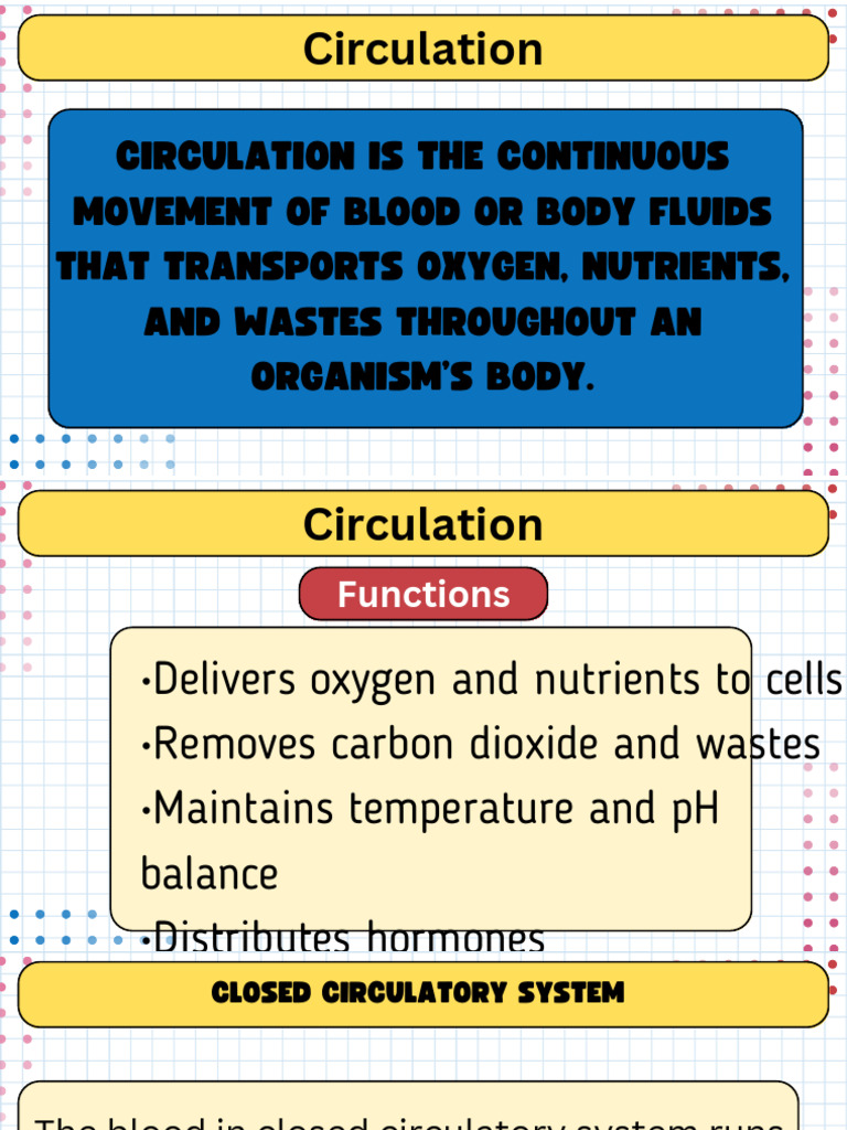 Circulation | PDF | Circulatory System | Myocardial Infarction