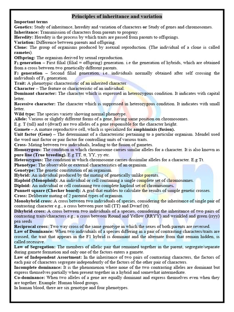 Principles of Inheritance and Variation - Final Notes | PDF | Dominance ...