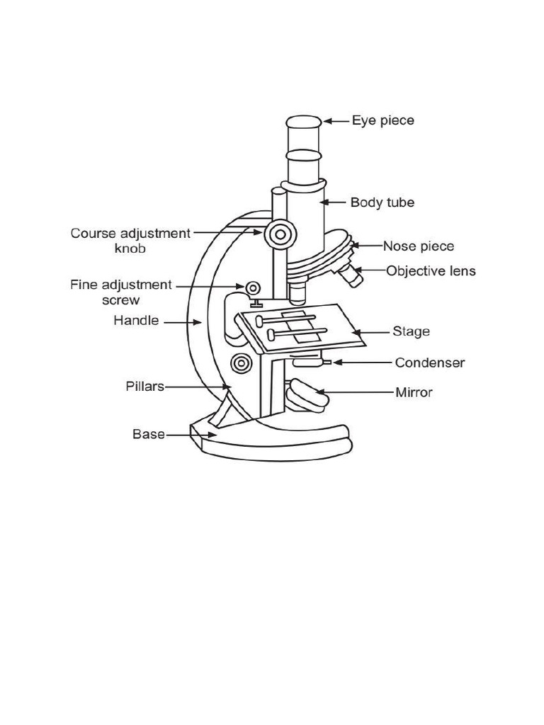 Physiology Practical Instruments Diagram | PDF