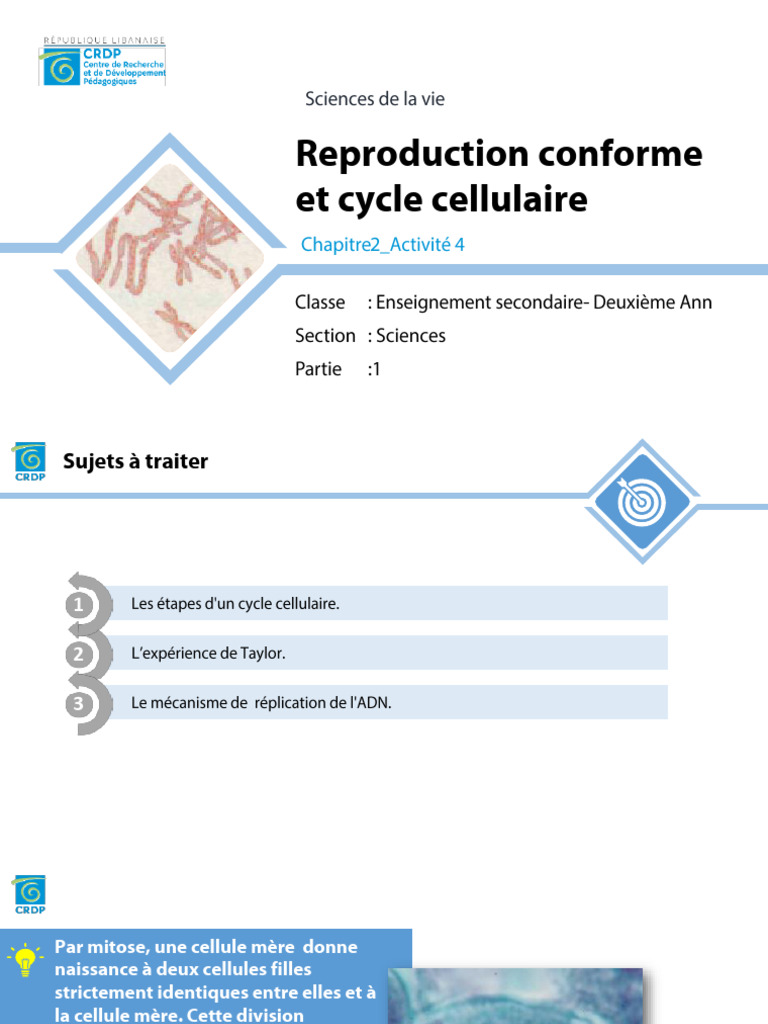 Reproduction Conforme | PDF | Mitose | Cycle cellulaire