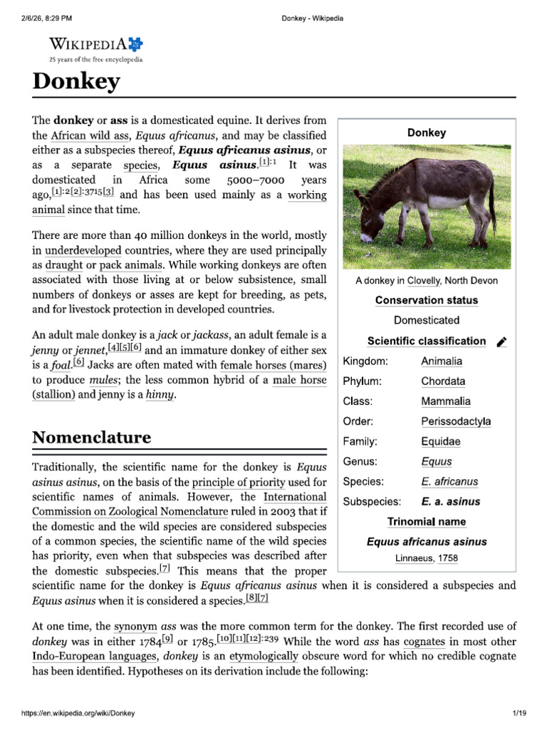 Donkey | PDF